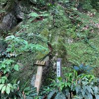 立花山城 - 投稿画像1