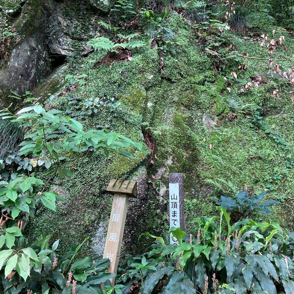 立花山城 - おすすめ画像
