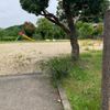 前山東公園 - トップ画像