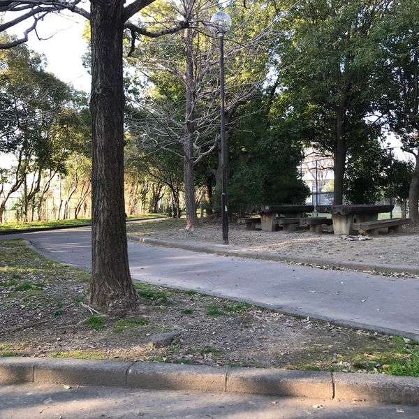 東野 - おすすめ画像