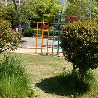 にれのき公園 - 投稿画像0