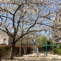 山田小川公園 - 投稿画像1