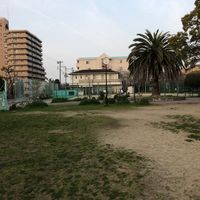 安威川公園 - 投稿画像3