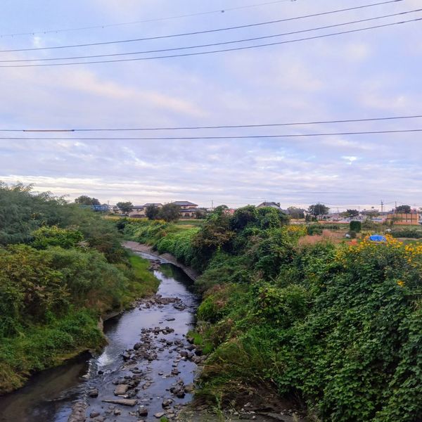 砂押川の土手 - おすすめ画像