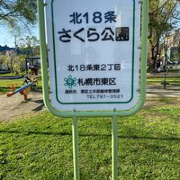 北18条さくら公園 - 投稿画像0