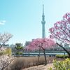 隅田公園 - トップ画像