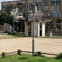 唐橋西寺 - 投稿画像3