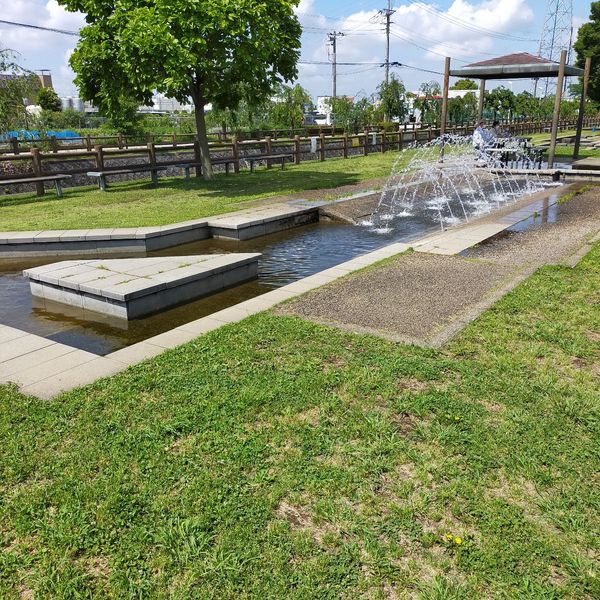 荒川総合運動公園通り - トップ画像