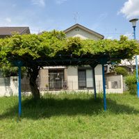 富雄元町四丁目第2号街区公園 - 投稿画像1