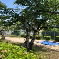 田内公園 - 投稿画像3