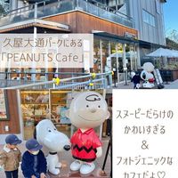 PEANUTS Cafe 名古屋 - 投稿画像1