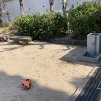 あんず公園 - 投稿画像3