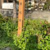 南松原公園 - トップ画像