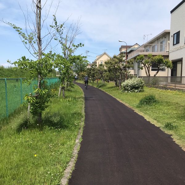 手賀沼遊歩道 - トップ画像