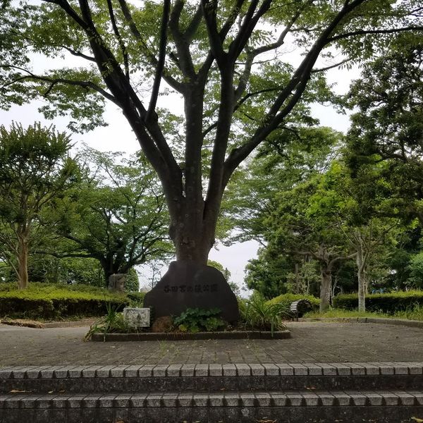 谷田宮の後公園 - トップ画像