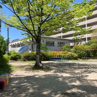 しいのき公園 - 投稿画像2