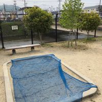 小竹藪 - 投稿画像2