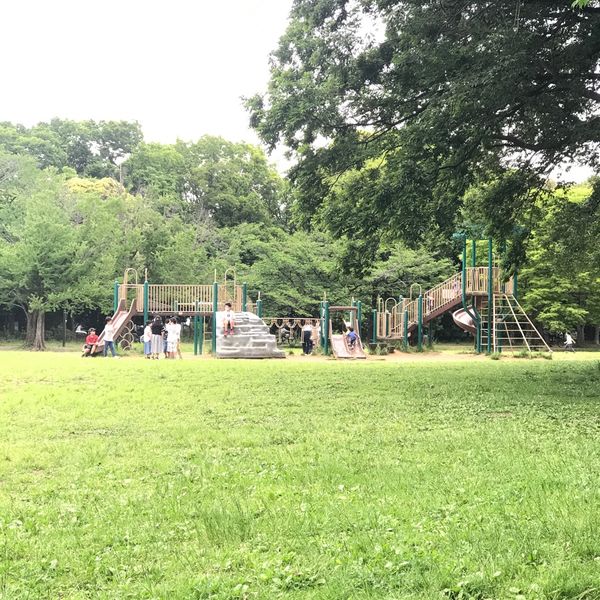 菅生緑地 - トップ画像