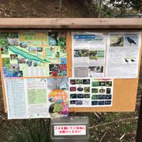 府中崖線本宿町緑地 - 投稿画像1