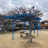 六条西六丁目3号街区公園 - 投稿画像3
