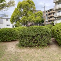 ひらど公園 - 投稿画像3