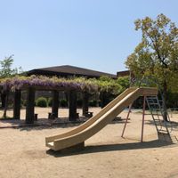 常盤野 - 投稿画像1