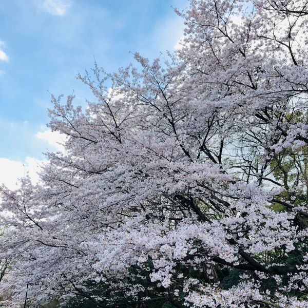 富士見ヶ丘検車区 - おすすめ画像