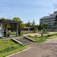 東雲公園 - 投稿画像1