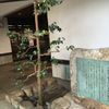 山崎記念 中野区立歴史民俗資料館 - トップ画像