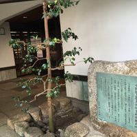 山崎記念 中野区立歴史民俗資料館 - 投稿画像0