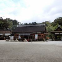 上賀茂神社 - 投稿画像3