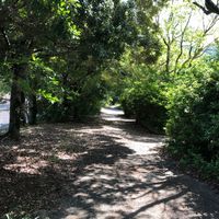莵道公園 - 投稿画像1