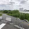 桂川緑地上野橋東詰 - トップ画像