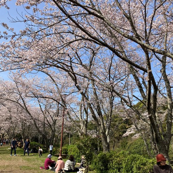 大井関公園 - おすすめ画像