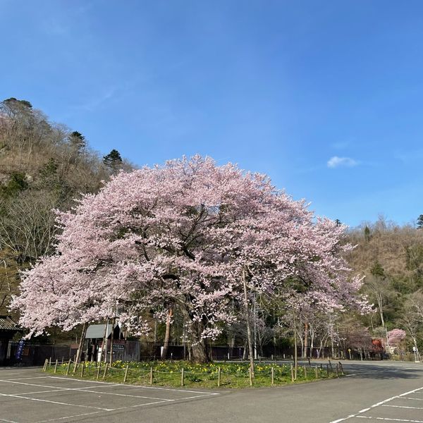 天守閣自然公園 市太郎の湯 - おすすめ画像