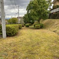 帝塚山中町第4号街区公園 - 投稿画像2