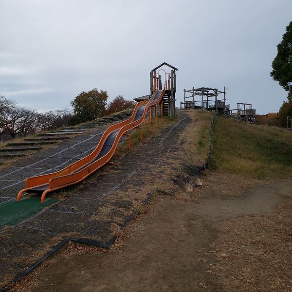 みさと公園 - おすすめ画像