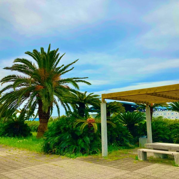 青海北ふ頭公園 - トップ画像