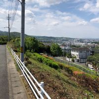 羽戸山緑地 - 投稿画像2