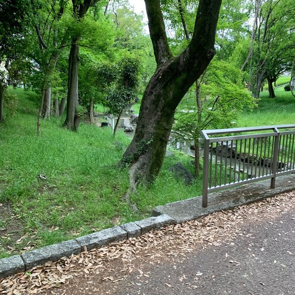 西河原公園 - トップ画像