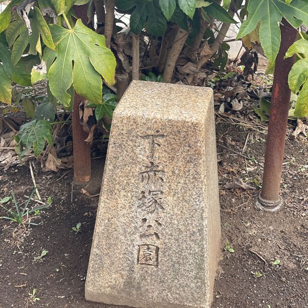 下赤塚公園 - おすすめ画像