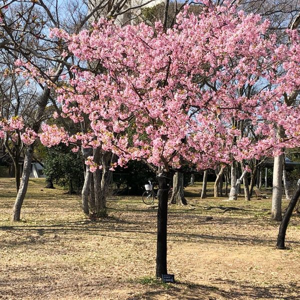 大仙公園 - トップ画像