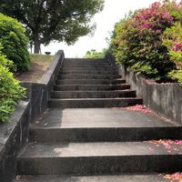 南陵第5児童公園 - 投稿画像1