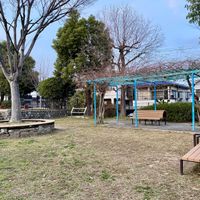 南平台南公園 - 投稿画像2