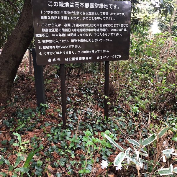 岡本静嘉堂緑地 - トップ画像