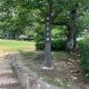 松ケ丘公園 - トップ画像