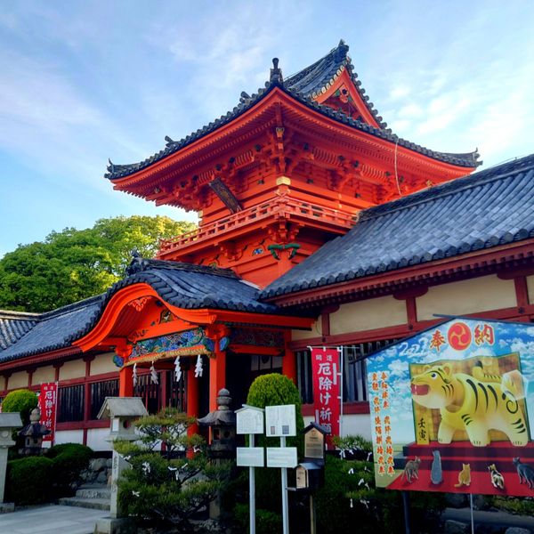 伊佐爾波神社 - トップ画像