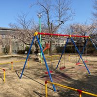 さざんか公園 - 投稿画像3