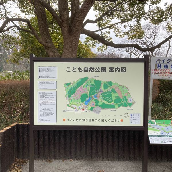 こども自然公園 (大池公園) - トップ画像