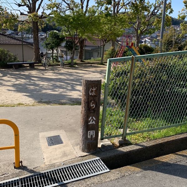 ばら公園 - トップ画像